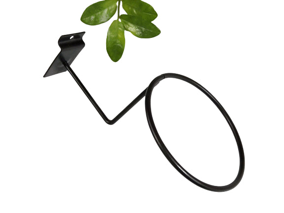 EGSWXX07 Cap display holder